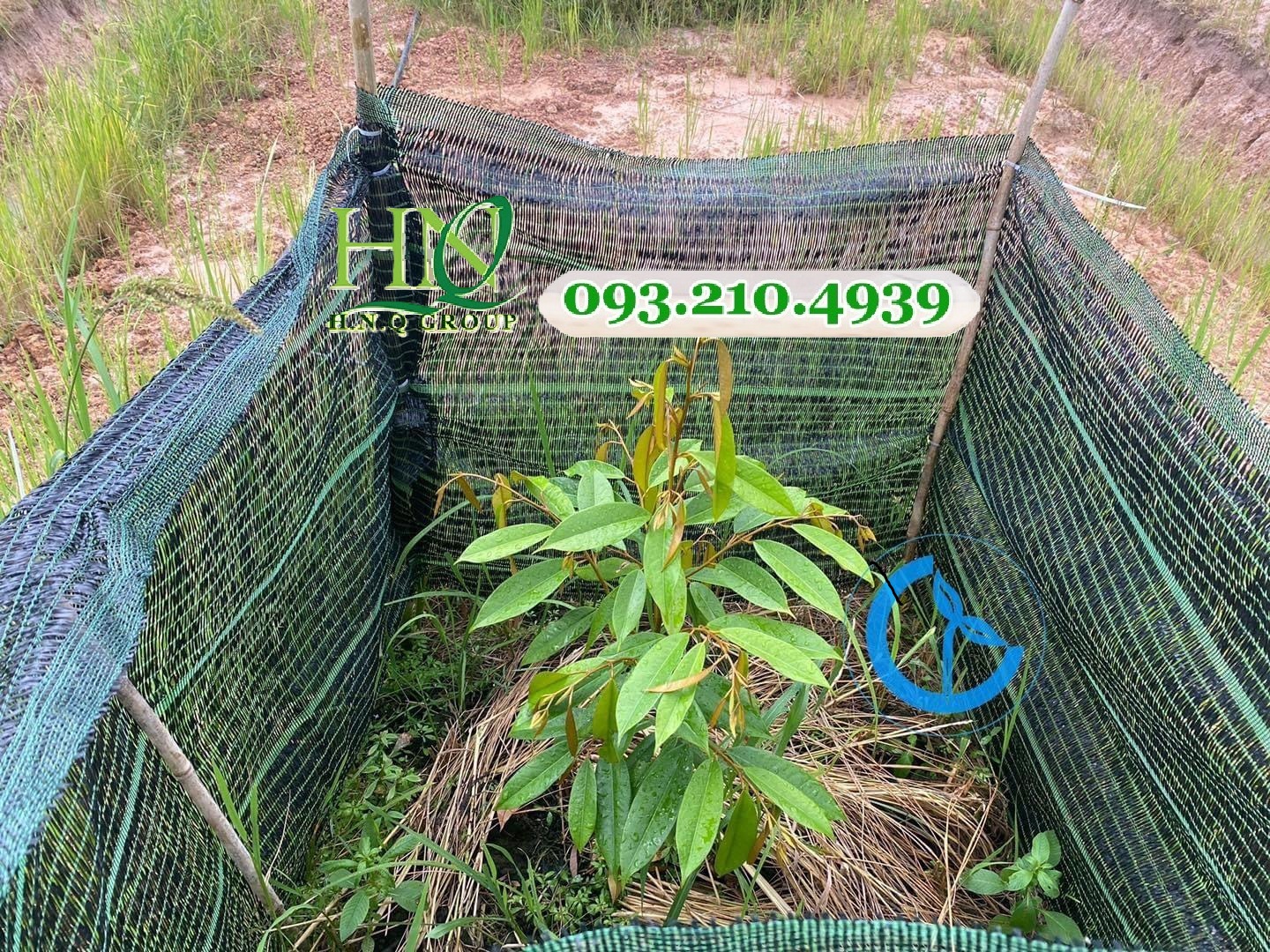 Lưới che nắng chắn gió cho cây sầu riêng con ở Lâm Đồng Lưới che nắng chắn gió cho cây sầu riêng con ở Lâm Đồng