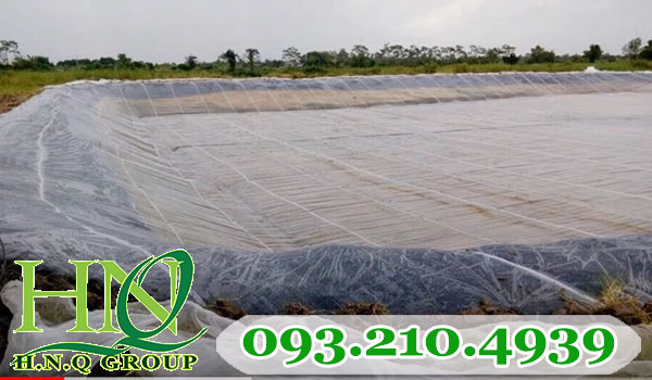 Lưới mùng lót hồ nuôi tôm công nghệ cao ở Sóc trăng