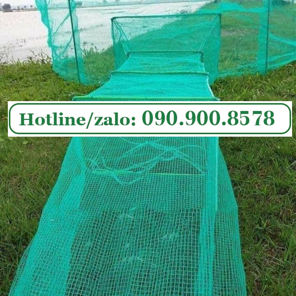 luoi ro xanh làm dớn bắt tôm, cua, cá trong thiên nhiên