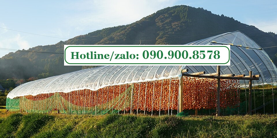 Nhà phơi sấy hồng treo gió