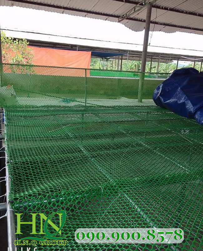 lưới nhựa mắt cáo làm sàn nuôi gia cầm
