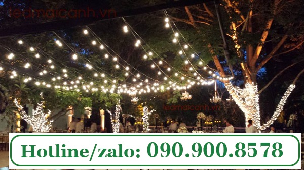 Cáp bọc nhựa phi 3 căng đèn trang trí