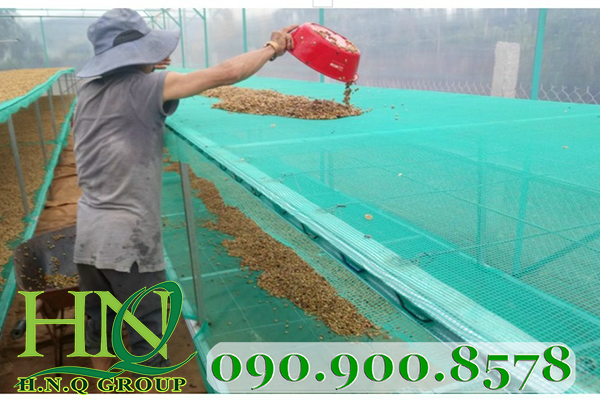 Luoi ro xanh làm giàn phơi nông sản