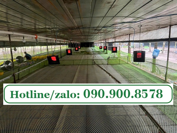 Lưới nhựa mắt cáo làm sàn nuôi gà vịt đạt hiệu quả kinh tế cao