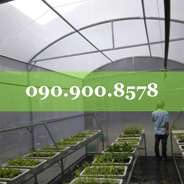 chọn lưới chắn côn trùng phù hợp cho nhà lưới trên sân thượng