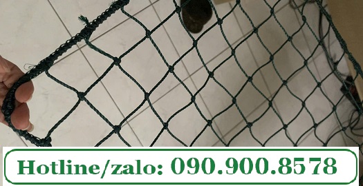 Lưới cước chắn bóng 5cmx5cm