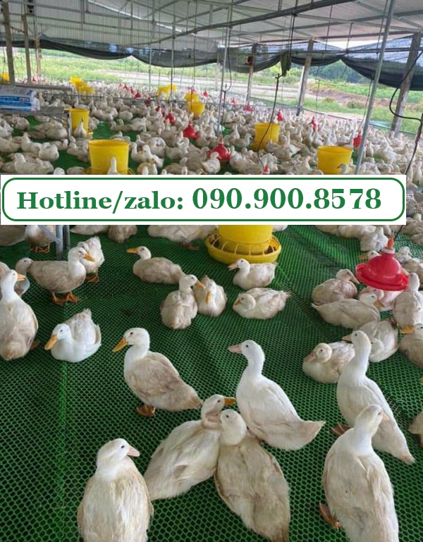 Những ưu điểm của lưới nhựa mắt cáo