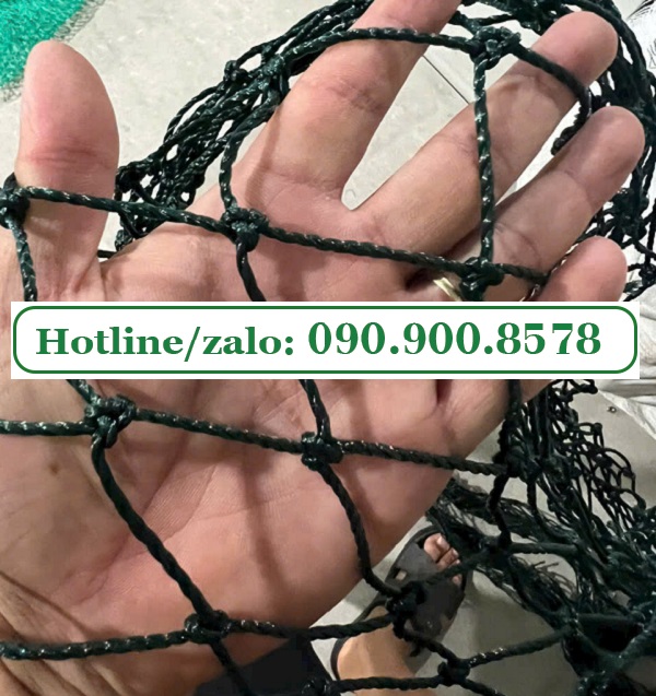 Cách căng lưới sân pickleball