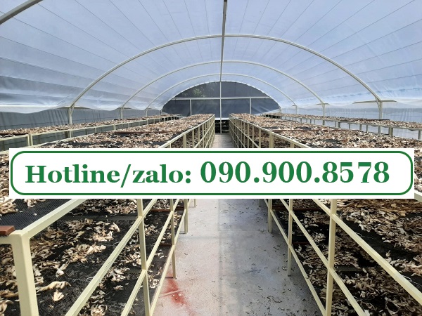 nhà kính phơi sấy dược liệu