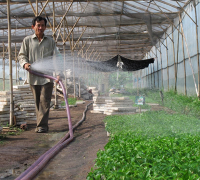 Chia sẽ kiến thức giúp mọi người hiểu rõ hơn về lưới chắn cát